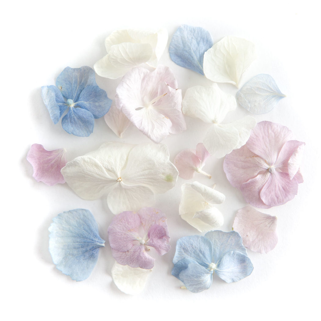 Hydrangea Confetti - 100% Natural and Biodegradable Wedding Petals