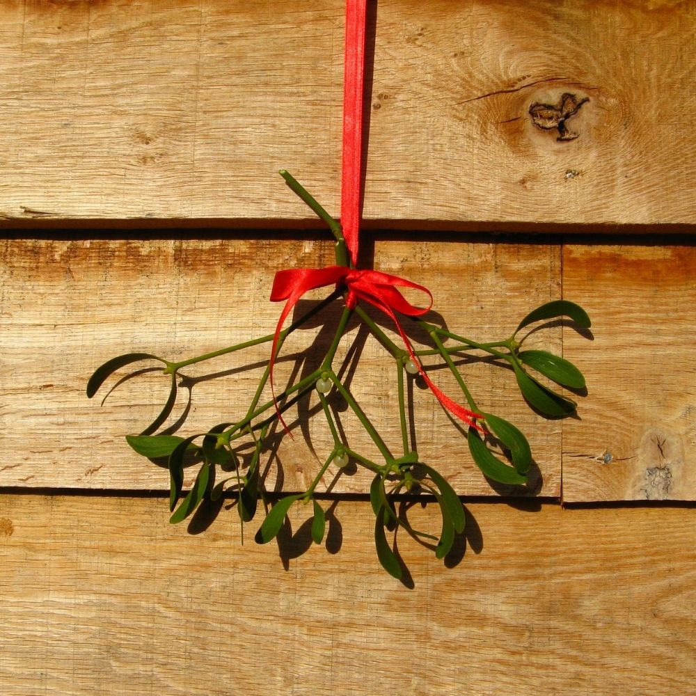 Send Mistletoe Kisses to your loved ones this Christmas!