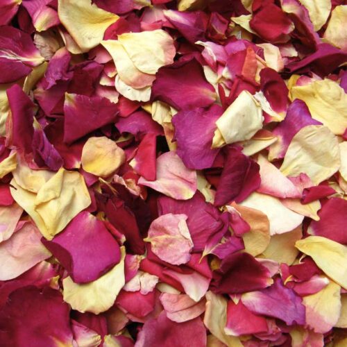 A mass of colourful rose petals